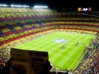 FBsports-那一刻，橙色的潮水漫过北欧冰原，2026世界杯半决赛，哈兰德一击定乾坤