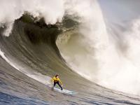 FB体育在线-绿茵与硬木的双重奏，AC米兰的南美征服与莱万的西决封神时刻