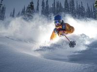 FB体育网页版-绿茵场上的雄鹿，当欧冠半决赛遇见篮球传奇